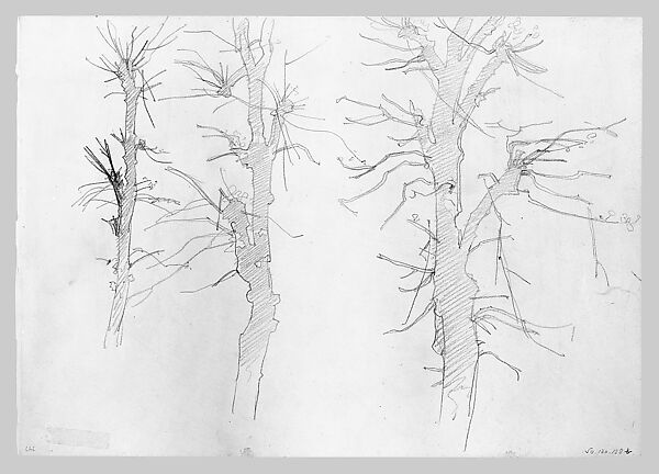 Shattered Trees, John Singer Sargent (American, Florence 1856–1925 London), Graphite on off-white wove paper, American