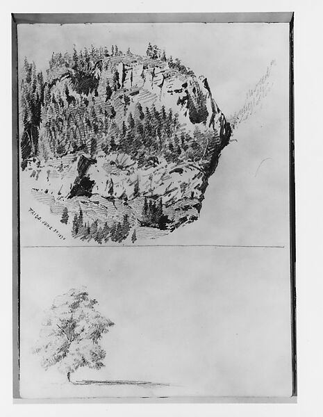 Landscape Study at Faido, Tree (from Switzerland 1870 Sketchbook), John Singer Sargent (American, Florence 1856–1925 London), Graphite on off-white wove paper, American 