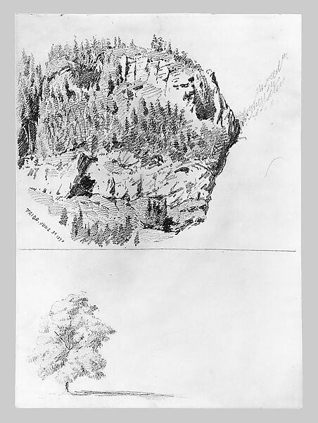 Landscape Study at Faido, Tree (from Switzerland 1870 Sketchbook), John Singer Sargent (American, Florence 1856–1925 London), Graphite on off-white wove paper, American
