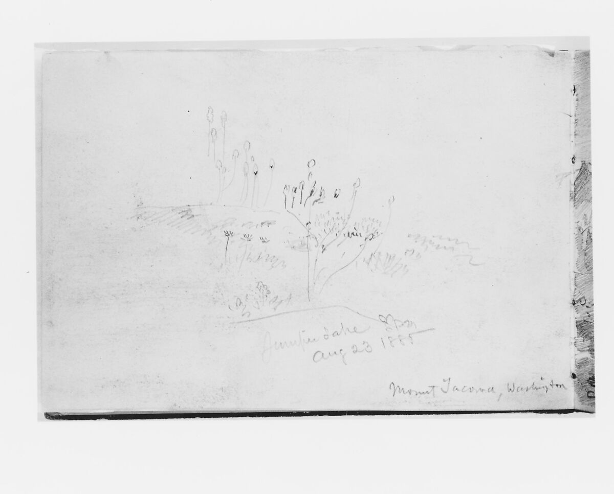Juniper Lake Aug 23 1885, Mount Tacoma Washington (from Sketchbook X), William Trost Richards (American, Philadelphia, Pennsylvania 1833–1905 Newport, Rhode Island), Graphite on off-white wove paper, American 