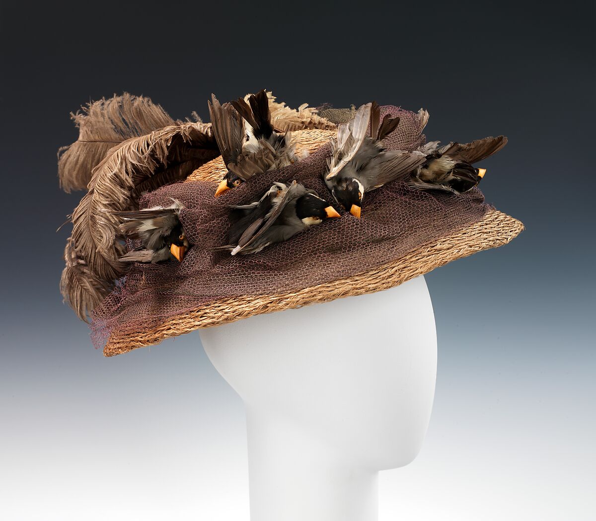 Hat, Mlle. Louise, bast fiber, cotton, birds, feathers, American 