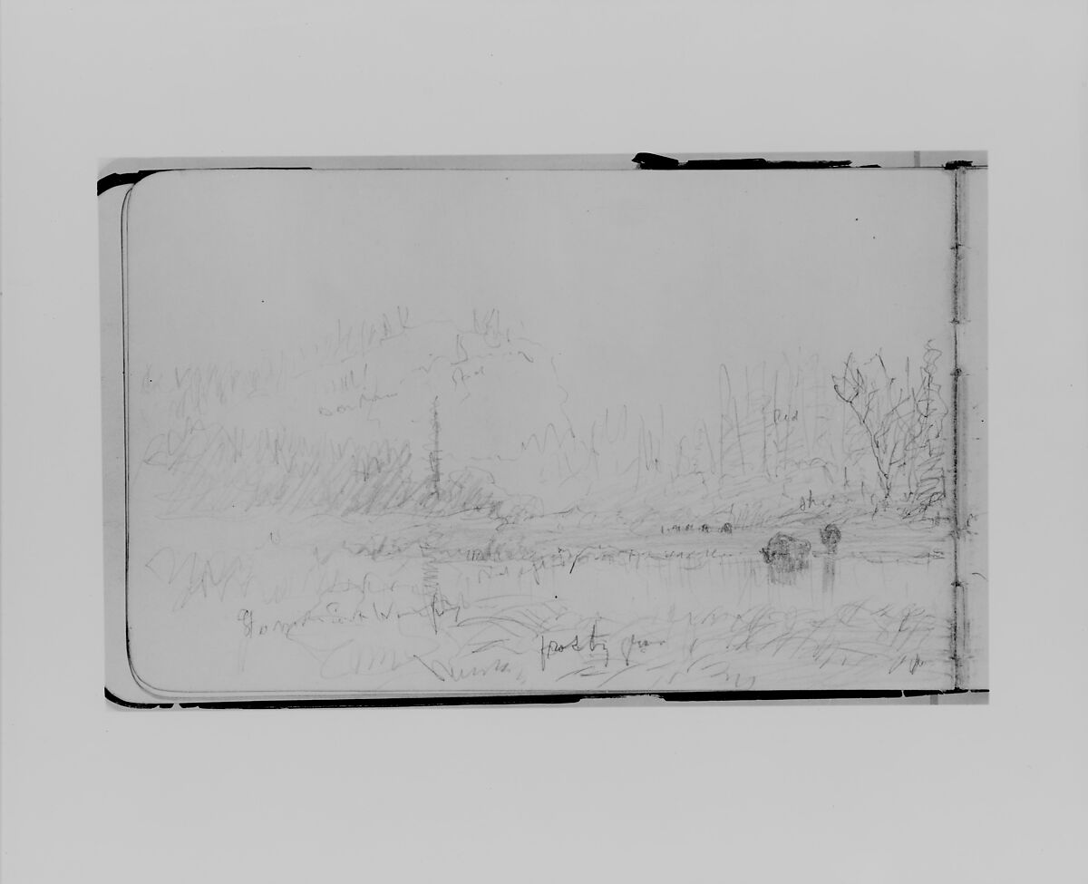 Pond and Wild Terrain, Autumn (from Sketchbook), Albert Bierstadt (American, Solingen 1830–1902 New York), Graphite on wove paper, American 