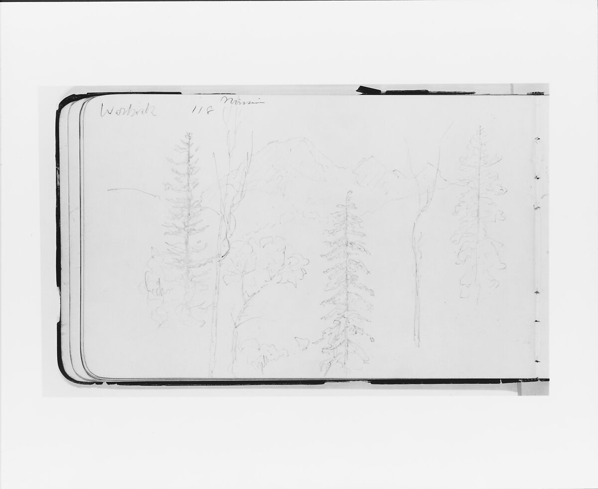 Mission (Warnock?): Landscape with Mountains and Foreground Trees (from Sketchbook), Albert Bierstadt (American, Solingen 1830–1902 New York), Graphite on wove paper, American 