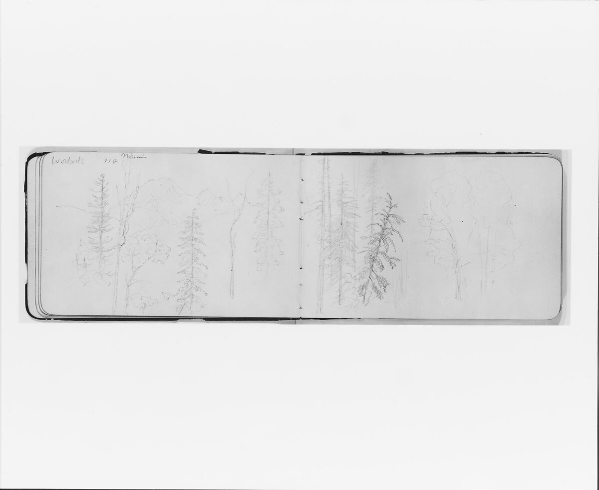 Tree Landscape (from Sketchbook), Albert Bierstadt (American, Solingen 1830–1902 New York), Graphite on wove paper, American