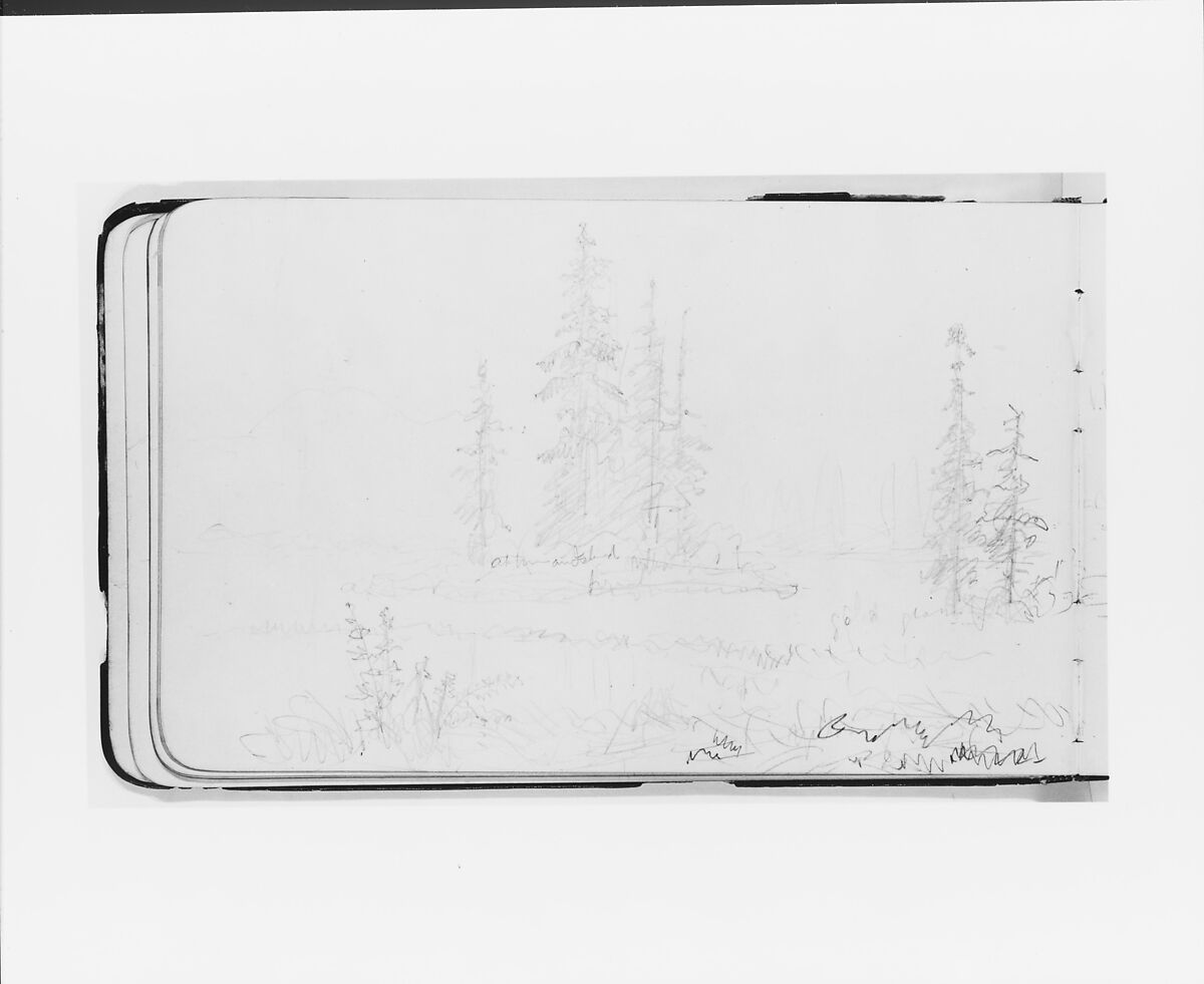 Mountain Landscape with River (Stave?), Trees, and Island (from Sketchbook), Albert Bierstadt (American, Solingen 1830–1902 New York), Graphite on wove paper, American 