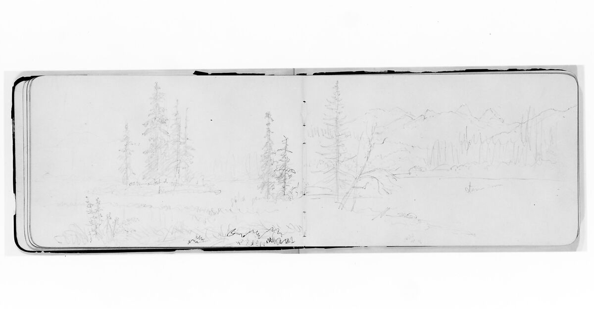 Mountain Landscape with River (Stave?) and Trees (from Sketchbook), Albert Bierstadt (American, Solingen 1830–1902 New York), Graphite on wove paper, American