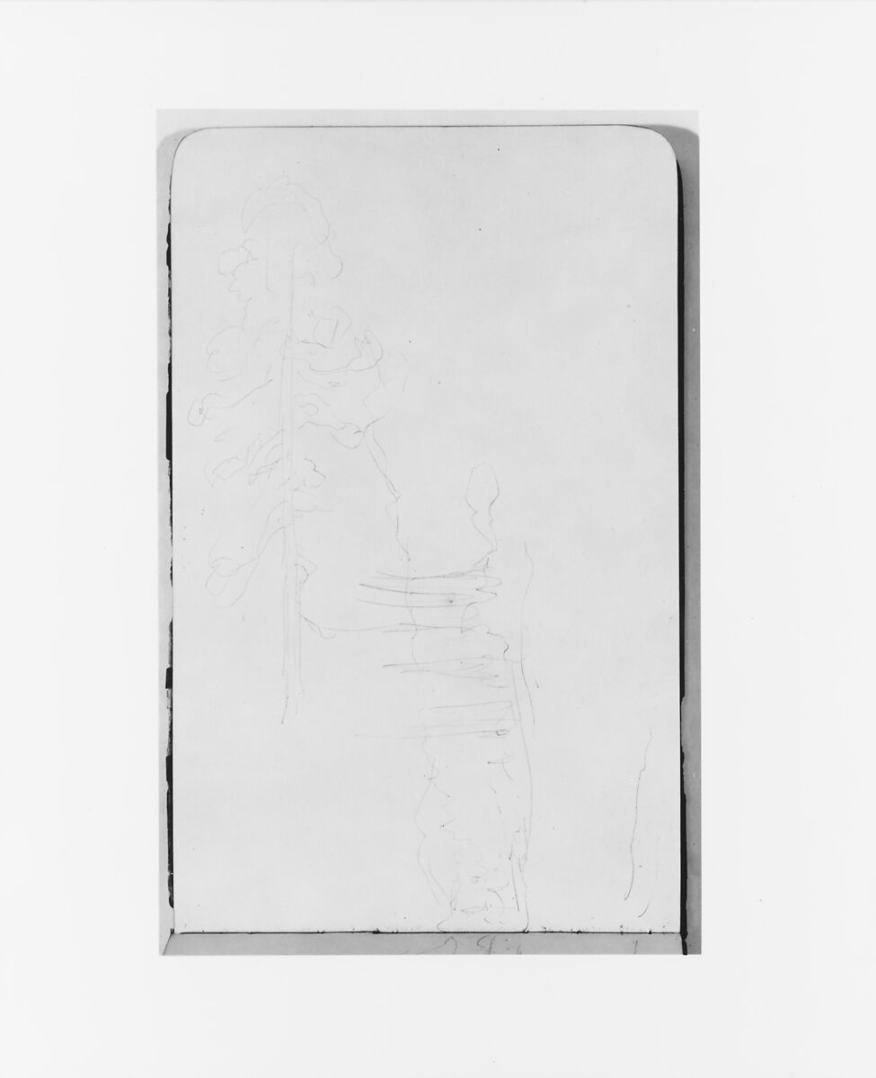 Tree Sketch and Landscape (from Sketchbook), Albert Bierstadt (American, Solingen 1830–1902 New York), Graphite on wove paper, American 