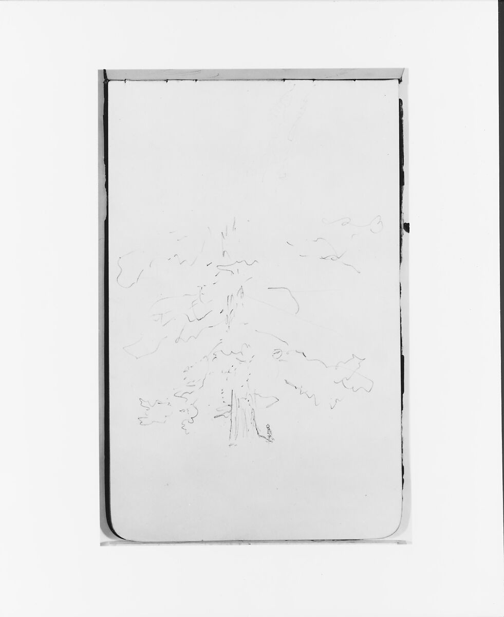 Tree (from Sketchbook), Albert Bierstadt (American, Solingen 1830–1902 New York), Graphite on wove paper, American 
