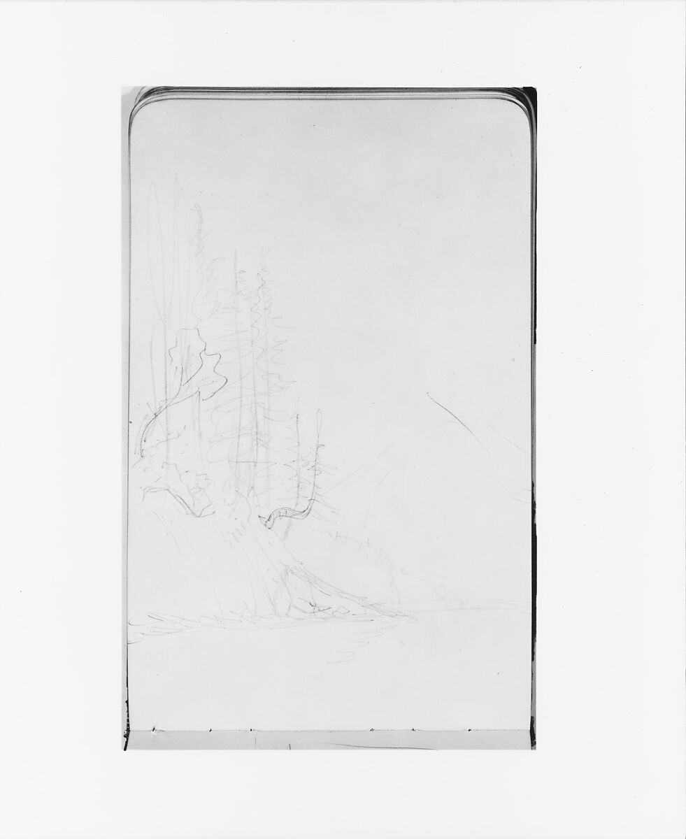 Trees on a Cliffside with a Mountain in the Background (from Sketchbook), Albert Bierstadt (American, Solingen 1830–1902 New York), Graphite on wove paper, American 
