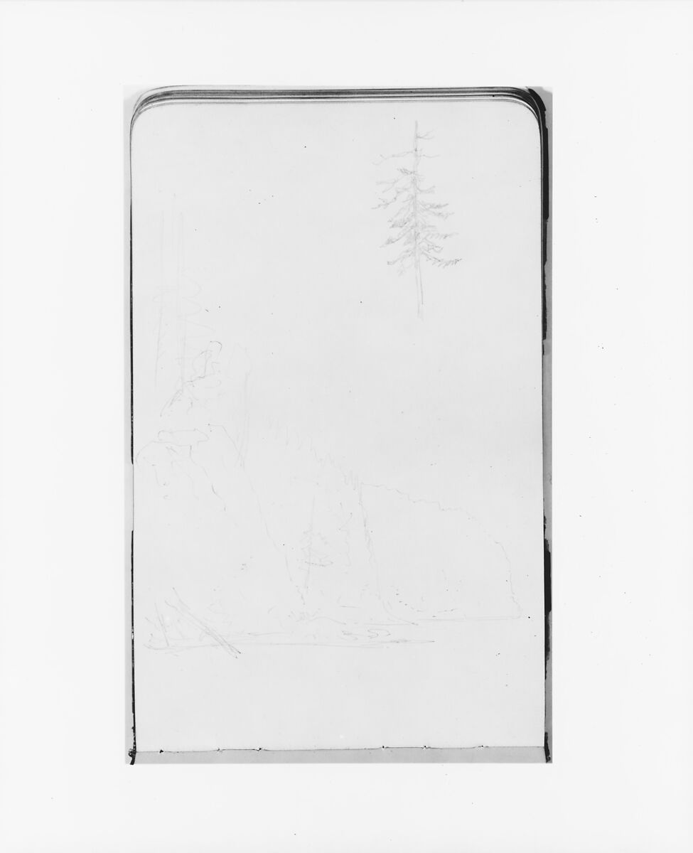 Sketches of a Cliffside and a Tree (from Sketchbook), Albert Bierstadt (American, Solingen 1830–1902 New York), Graphite on wove paper, American 