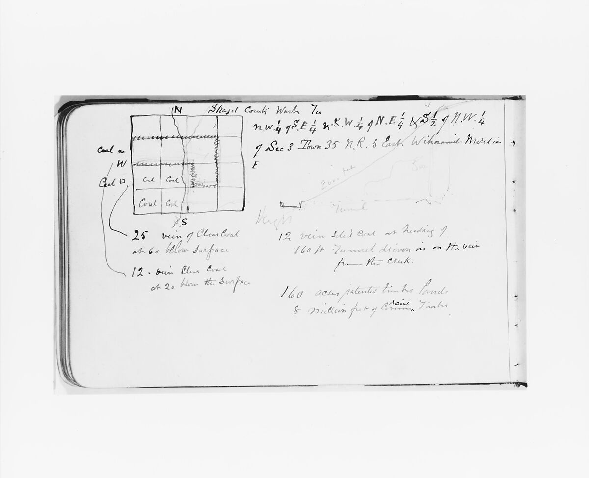 Geographical and Geological Notes on Skagit County, Washington (from Sketchbook), Albert Bierstadt (American, Solingen 1830–1902 New York), Graphite on wove paper, American 