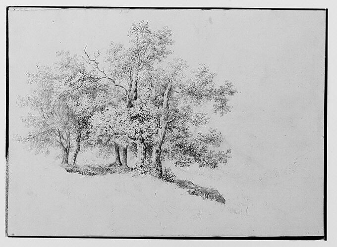 Copse of Trees on a Riverbank (from Sketchbook), Thomas Hewes Hinckley (1813–1896), Graphite on buff paper, American 