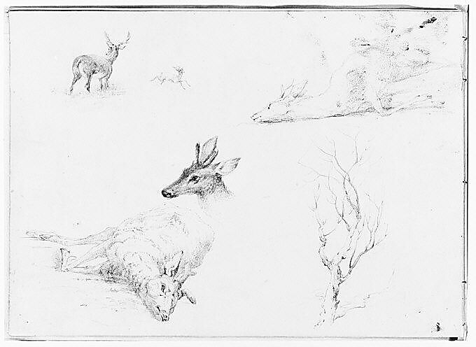 Five Deer Sketches; Sketch of a Bare Tree (from Sketchbook), Thomas Hewes Hinckley (1813–1896), Graphite on beige papr, American