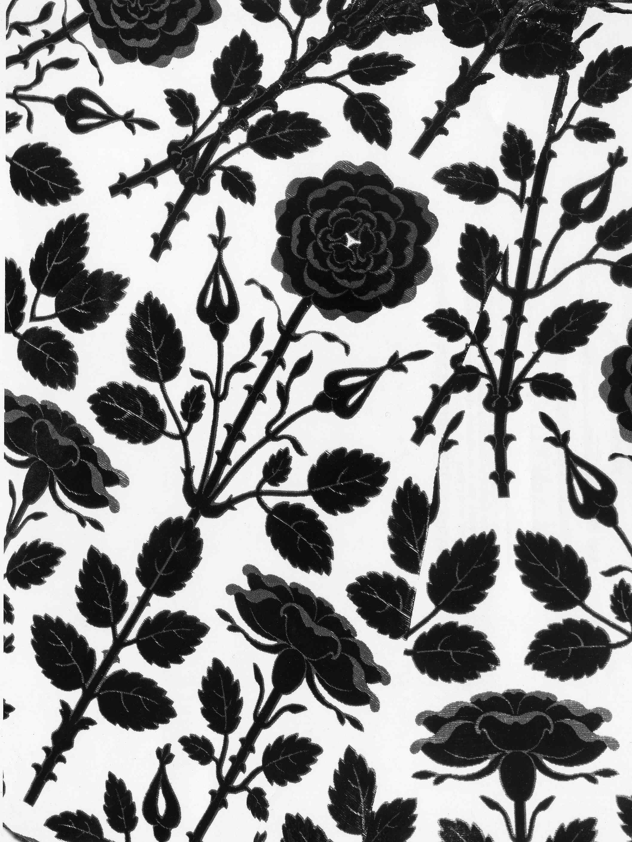 Evening coat, House of Worth (French, 1858–1956), silk, French