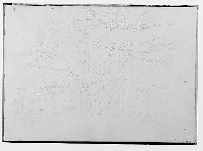 Trees Bordering a Farm Meadow (from Sketchbook), Thomas Hewes Hinckley (1813–1896), Graphite on beige paper, American 