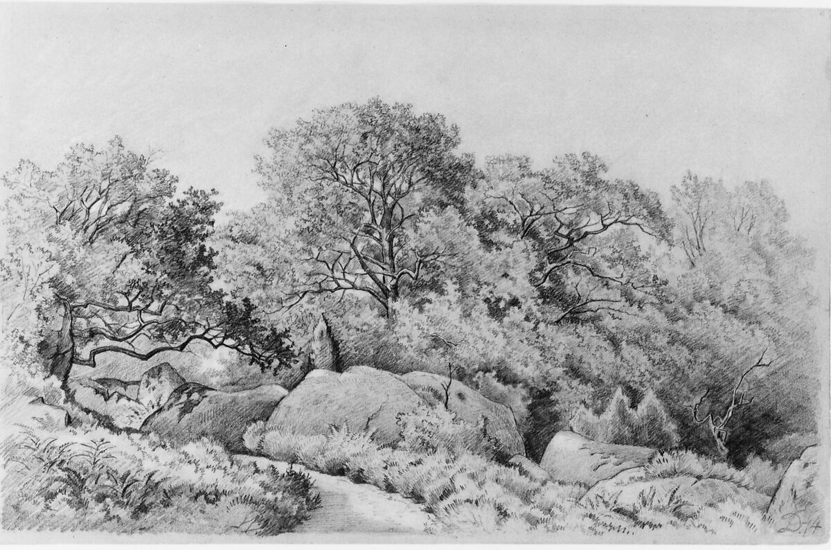 Landscape, David Johnson (American, New York 1827–1908 Walden, New York), Graphite and white-chalk heightening on grey wove paper, American