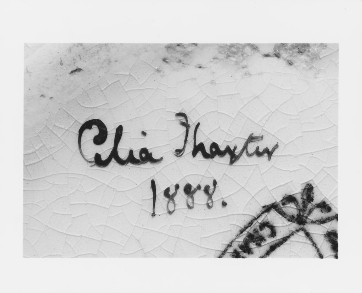 Vase, Celia Laighton Thaxter (American, Portsmouth, New Hampshire 1835–1894 Isle of Shoals, New Hampshire), Glazed and painted earthenware, American