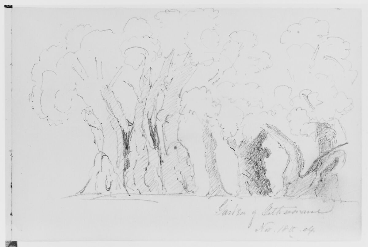 Garden of Gethsemane, 1904 (from Sketchbook), Mary Newbold Sargent (1826–1906), Graphite on paper, American 