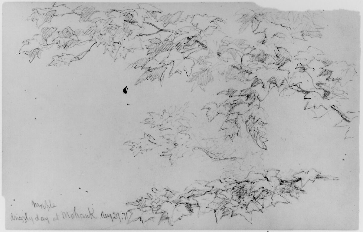 Maple Leaves, 1871 (from Sketchbook), Daniel Huntington (American, New York 1816–1906 New York), Graphite on paper, American 