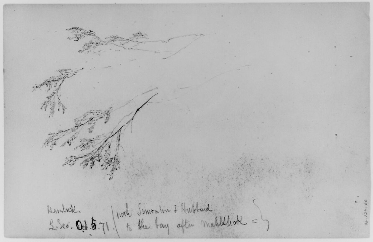 Study of Hemlock, 1871 (from Sketchbook), Daniel Huntington (American, New York 1816–1906 New York), Graphite on paper, American 