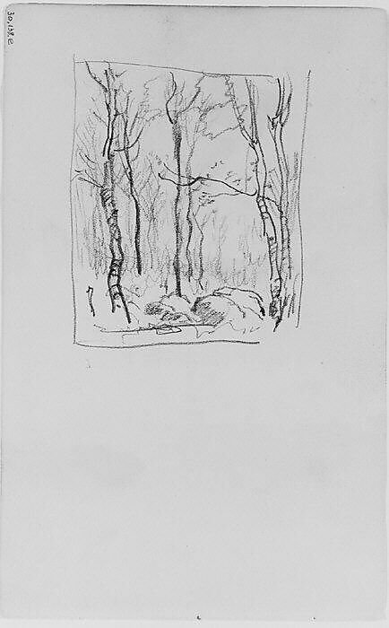 Trees and Rocks in a Forest (from Sketchbook), Henry Ward Ranger (American, Syracuse, New York 1858–1916 New York), Graphite, ink, on paper, American 