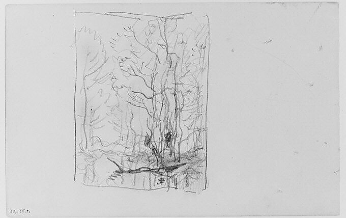 Tree Study (from Sketchbook), Henry Ward Ranger (American, Syracuse, New York 1858–1916 New York), Graphite, ink, on paper, American 