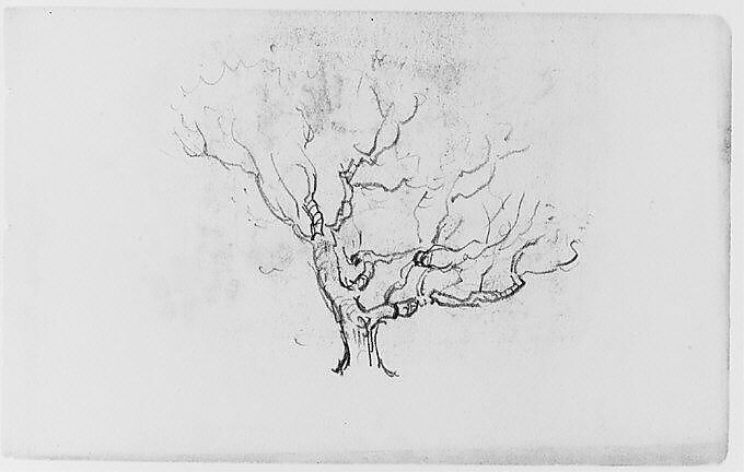 Tree Study (from Sketchbook), Henry Ward Ranger (American, Syracuse, New York 1858–1916 New York), Graphite, ink, on paper, American 