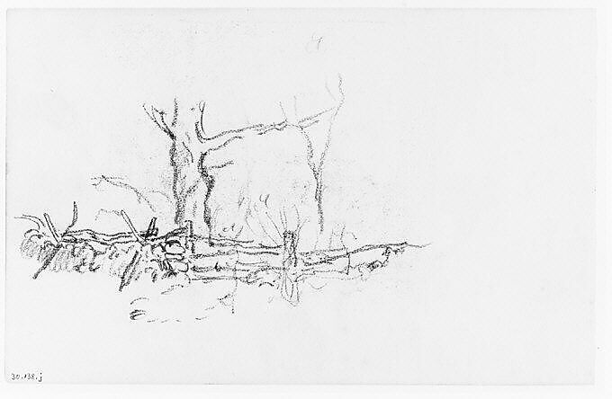 Trees behind a Fence (from Sketchbook), Henry Ward Ranger (American, Syracuse, New York 1858–1916 New York), Graphite, ink, on paper, American 