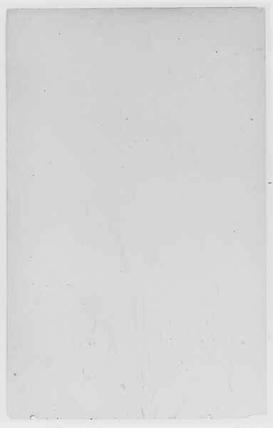 Flowers (?) (from Sketchbook), Thomas Moran (American (born England), Bolton, Lancashire 1837–1926 Santa Barbara, California), Graphite on paper, American 