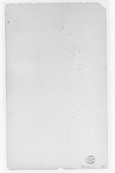 Flowers (from Sketchbook), Thomas Moran (American (born England), Bolton, Lancashire 1837–1926 Santa Barbara, California), Graphite on paper, American 