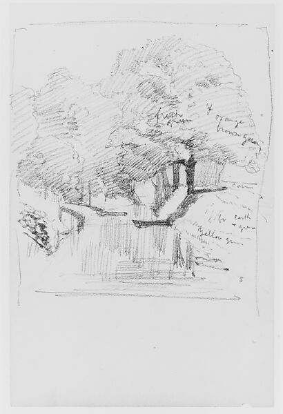 Trees (from Sketchbook), Thomas Moran (American (born England), Bolton, Lancashire 1837–1926 Santa Barbara, California), Graphite on paper, American 