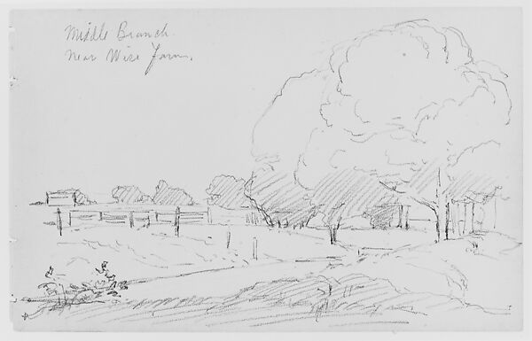 Landscape (Middle Branch/ Near Wire Farm) (from Sketchbook), Thomas Moran (American (born England), Bolton, Lancashire 1837–1926 Santa Barbara, California), Graphite on paper, American 