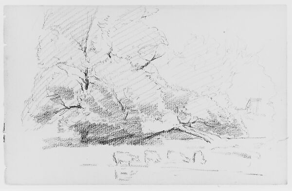 Landscape With Cows (from Sketchbook), Thomas Moran (American (born England), Bolton, Lancashire 1837–1926 Santa Barbara, California), Graphite on paper, American 