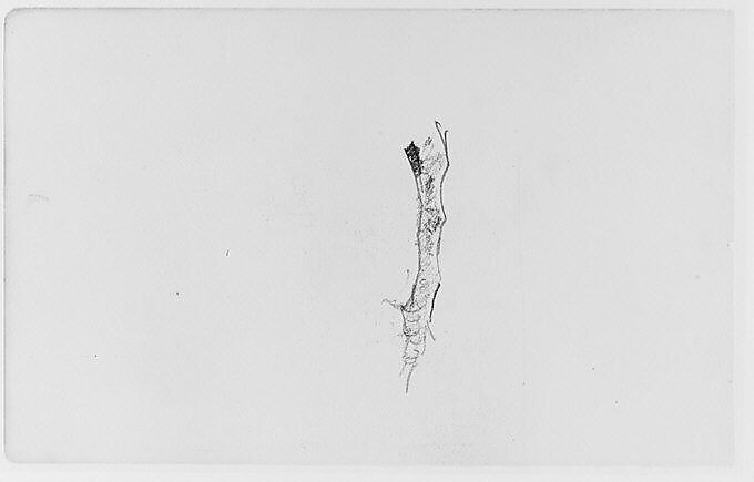Study of a Tree Limb (from Sketchbook), Henry Ward Ranger (American, Syracuse, New York 1858–1916 New York), Graphite, ink, on paper, American 