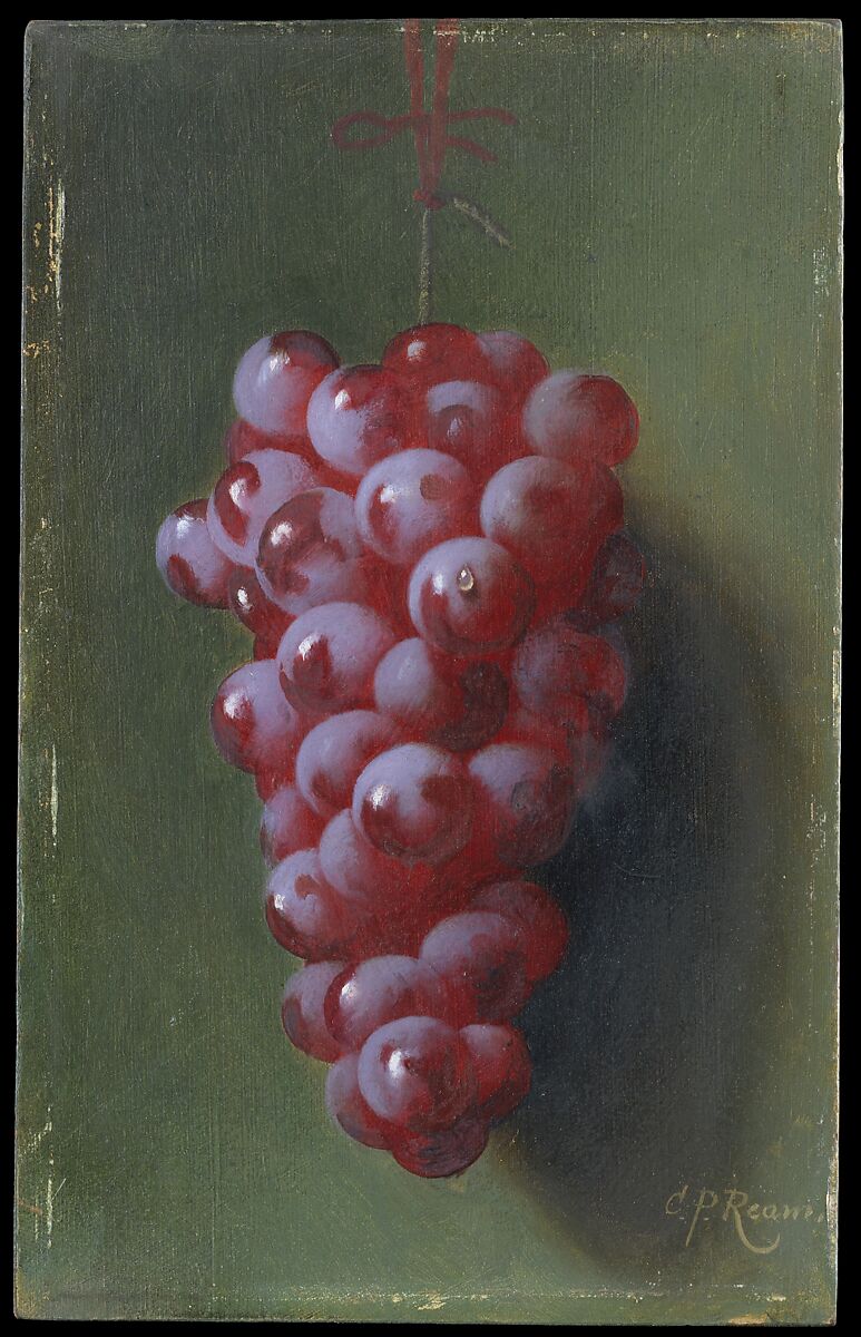 Still Life with Grapes, Carducius Plantagenet Ream (1838–1917), Oil on canvas, American 