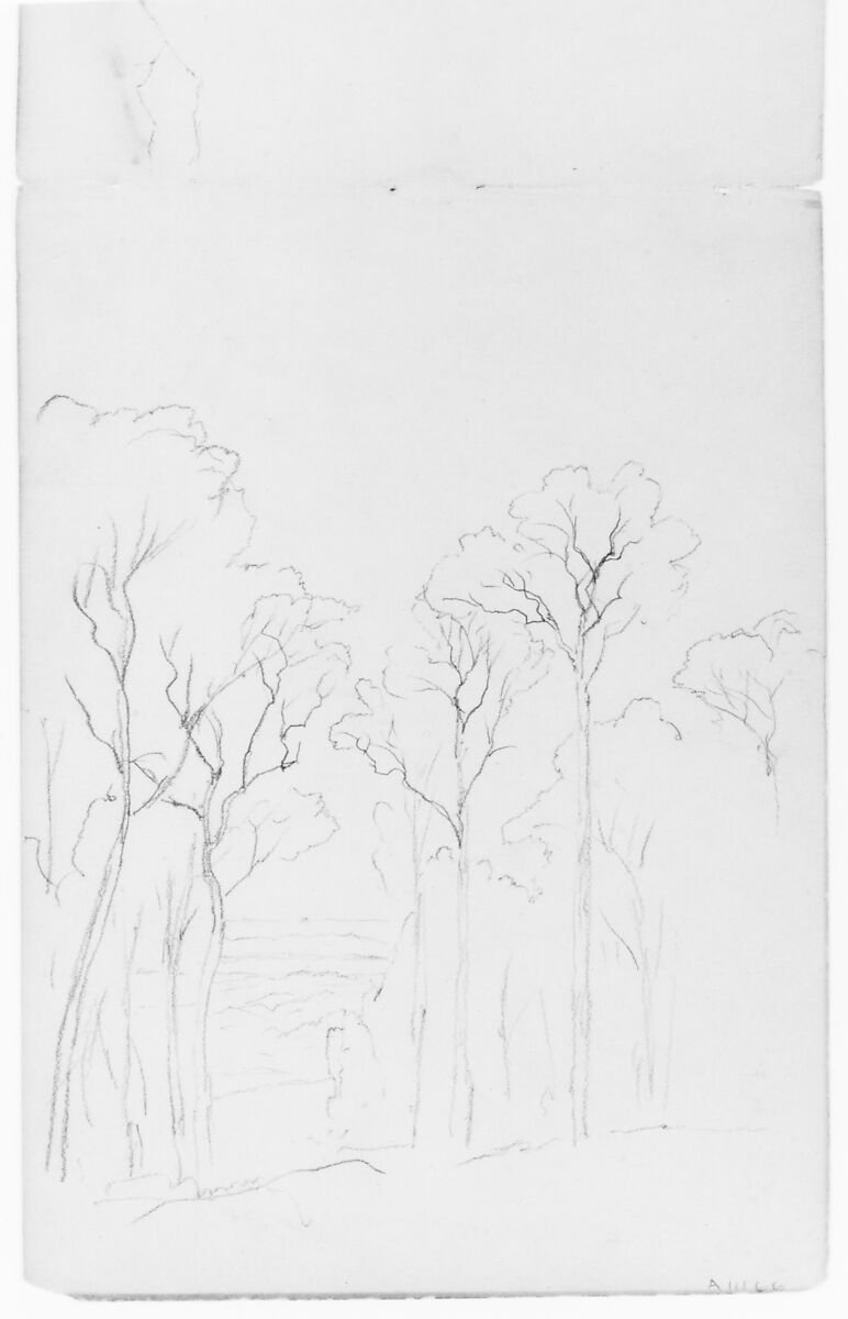 Sketchbook of White Mountains and Hudson River Subjects, David Johnson (American, New York 1827–1908 Walden, New York), Drawings in graphite on off-white wove paper, bound in cloth- and leather-covered boards, American