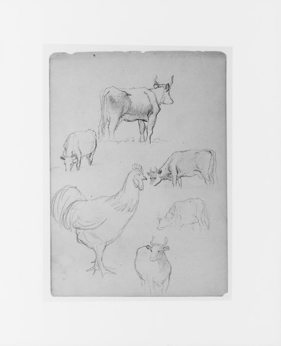 Sketchbook of White Mountains and Hudson River Subjects, David Johnson (American, New York 1827–1908 Walden, New York), Drawings in graphite on off-white wove paper, bound in cloth- and leather-covered boards, American