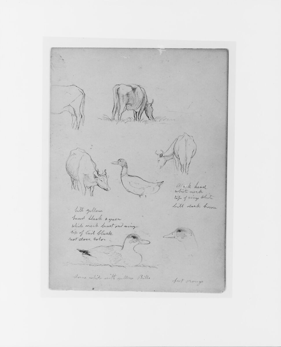 Sketchbook of White Mountains and Hudson River Subjects, David Johnson (American, New York 1827–1908 Walden, New York), Drawings in graphite on off-white wove paper, bound in cloth- and leather-covered boards, American