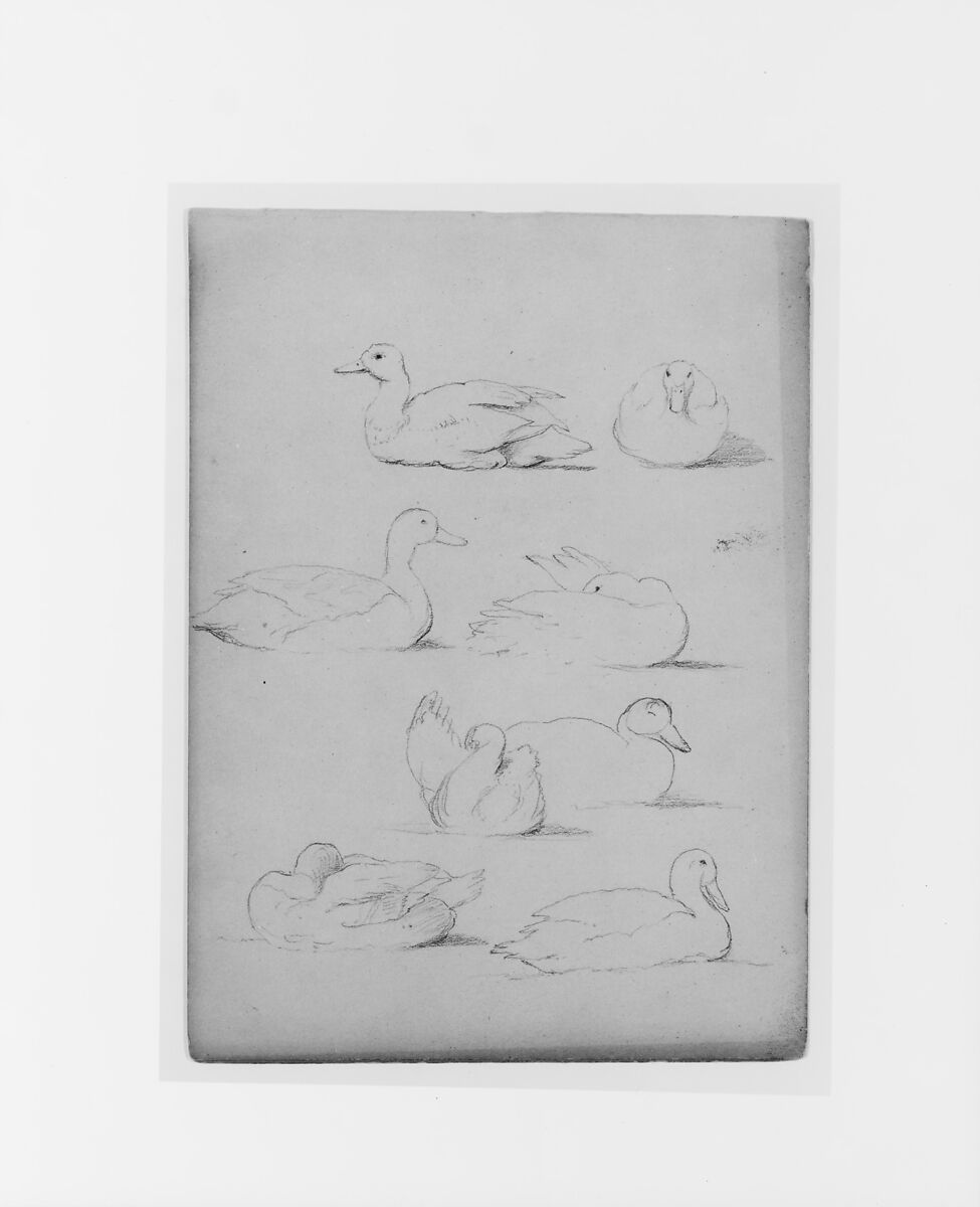 Sketchbook of White Mountains and Hudson River Subjects, David Johnson (American, New York 1827–1908 Walden, New York), Drawings in graphite on off-white wove paper, bound in cloth- and leather-covered boards, American