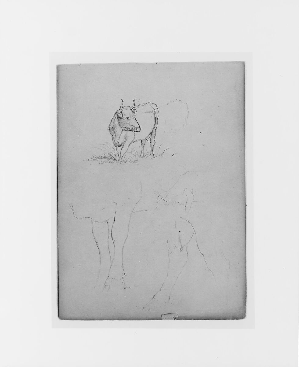 Sketchbook of White Mountains and Hudson River Subjects, David Johnson (American, New York 1827–1908 Walden, New York), Drawings in graphite on off-white wove paper, bound in cloth- and leather-covered boards, American