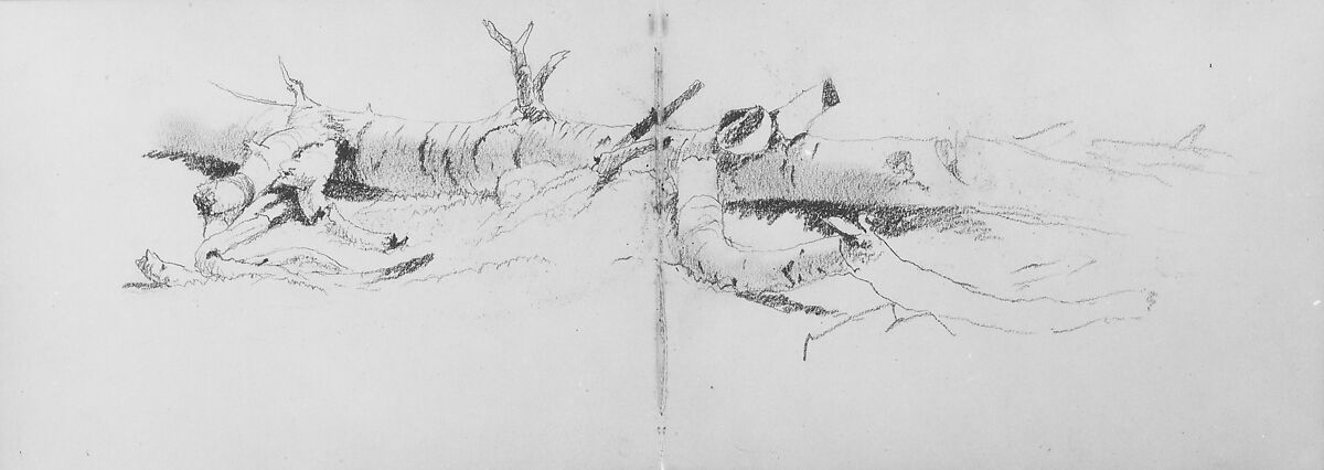 Sketchbook of White Mountains and Hudson River Subjects, David Johnson (American, New York 1827–1908 Walden, New York), Drawings in graphite on off-white wove paper, bound in cloth- and leather-covered boards, American