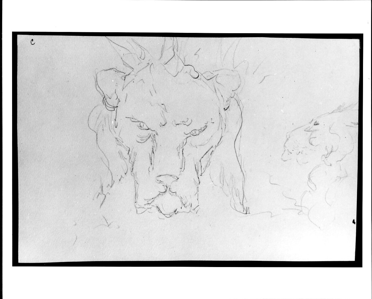 Frontal and Profile Studies of a Lion's Head, William Rimmer (American (born England), Liverpool 1816–1879 South Milford, Massachusetts), Graphite on light buff-colored wove paper, American