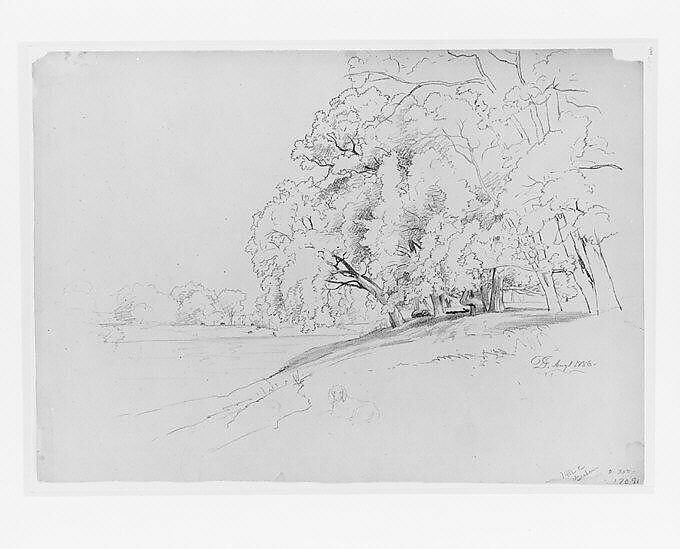 Trees and Dog, David Johnson (American, New York 1827–1908 Walden, New York), Graphite on off-white wove paper, American