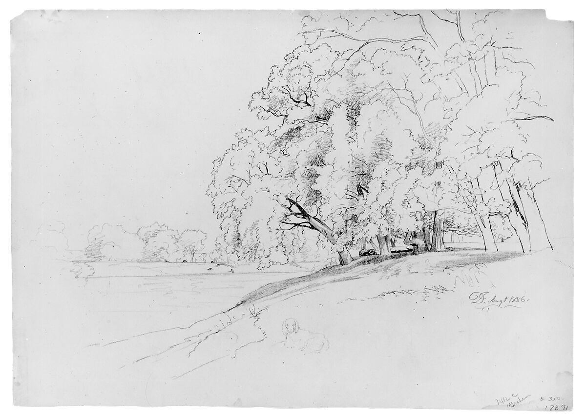 Trees and Dog, David Johnson (American, New York 1827–1908 Walden, New York), Graphite on off-white wove paper, American 