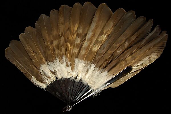 Fan, Tortoiseshell, feather, American 