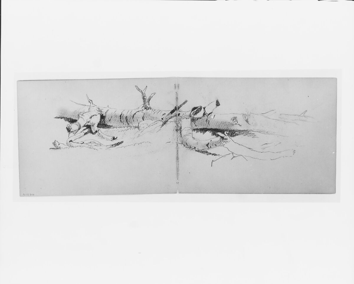 Study of a Fallen Tree (from sketchbook), David Johnson (American, New York 1827–1908 Walden, New York), Graphite on off-white wove paper, American 