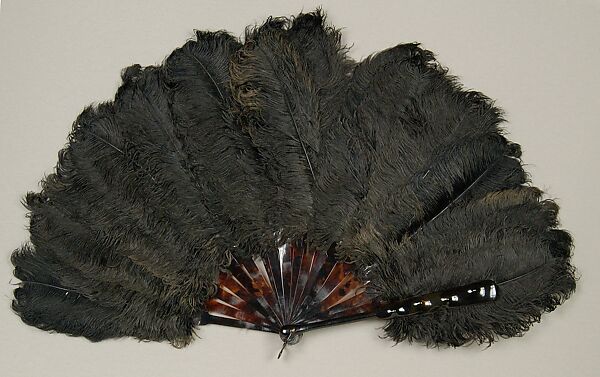 Fan, Tortoiseshell, feathers, American 