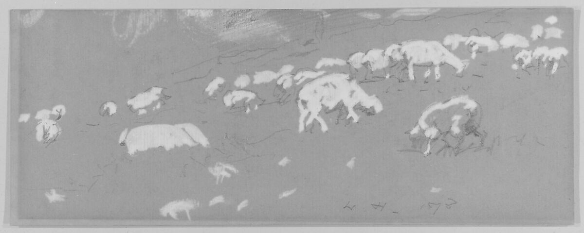 Sheep, Winslow Homer (American, Boston, Massachusetts 1836–1910 Prouts Neck, Maine), Dark graphite and white gouache on vat-dyed wove paper, American