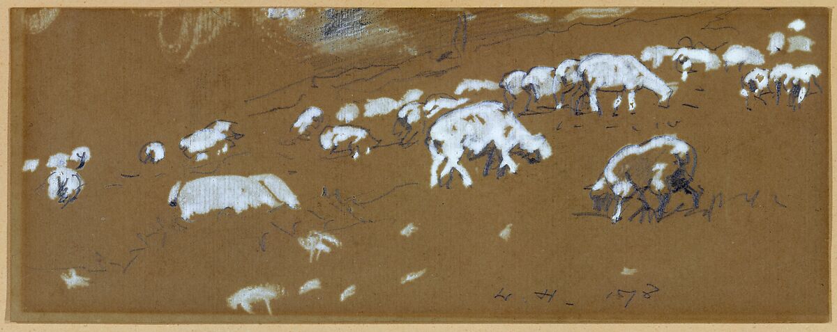 Sheep, Winslow Homer (American, Boston, Massachusetts 1836–1910 Prouts Neck, Maine), Dark graphite and white gouache on vat-dyed wove paper, American 