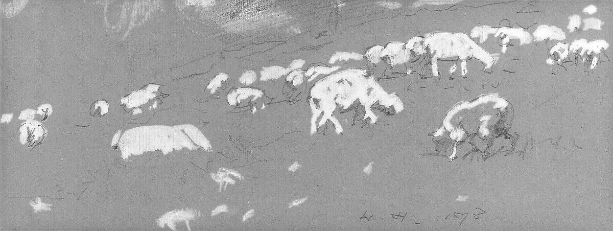 Sheep, Winslow Homer (American, Boston, Massachusetts 1836–1910 Prouts Neck, Maine), Dark graphite and white gouache on vat-dyed wove paper, American